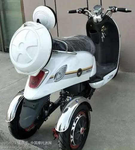 后驱双轮电动车 很强的样子