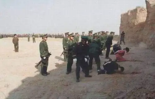 为什么死刑犯被枪决时必须要跪着而不是站着原来是这么回事