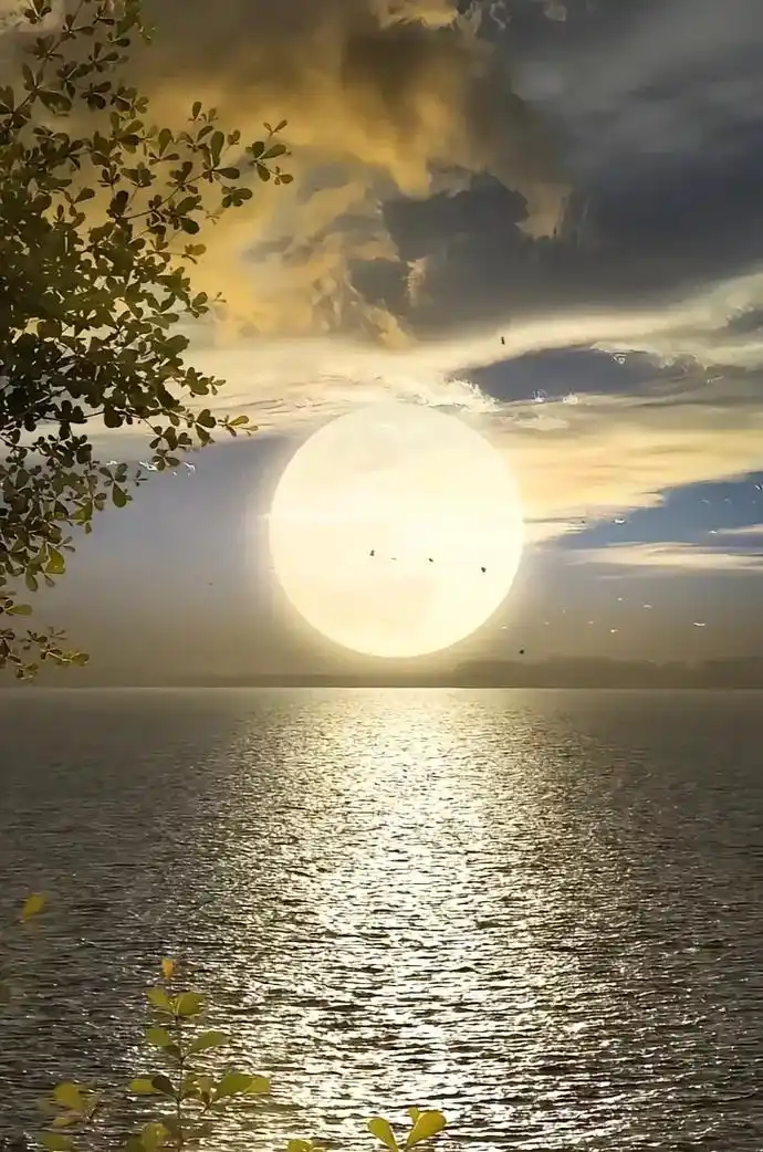 但愿人长久,千里共婵娟 搜罗全网最美的月亮月饼,提前祝愿朋友 - 抖音