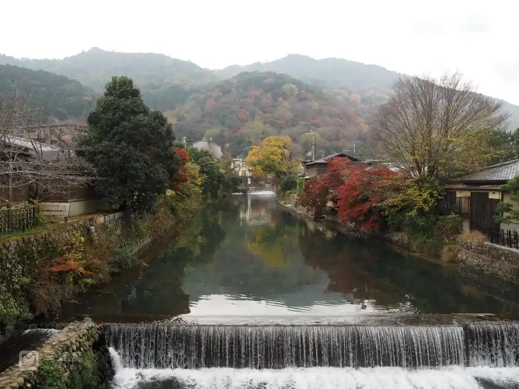 日本,被视为世界上红叶最美的国家之 - 抖音
