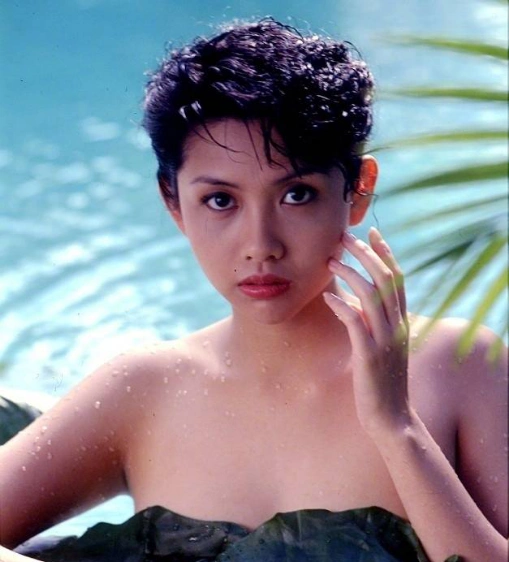 王晶怒怼赖美云,这莫不是邱淑贞脑残男友粉?