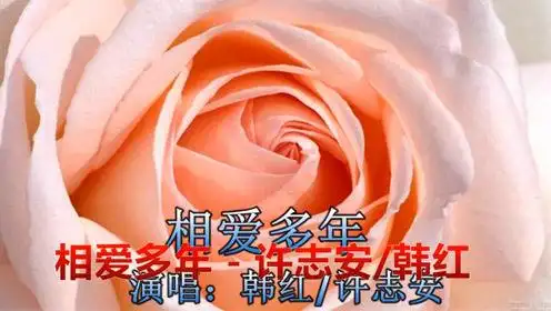 听完韩红这首歌,才知道为什么谁也封杀不了他