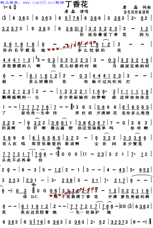 丁香花简谱歌谱唐磊