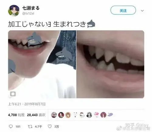 有鲨鱼齿是一种怎样的体验?