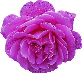 288_257gif 动态图 动图