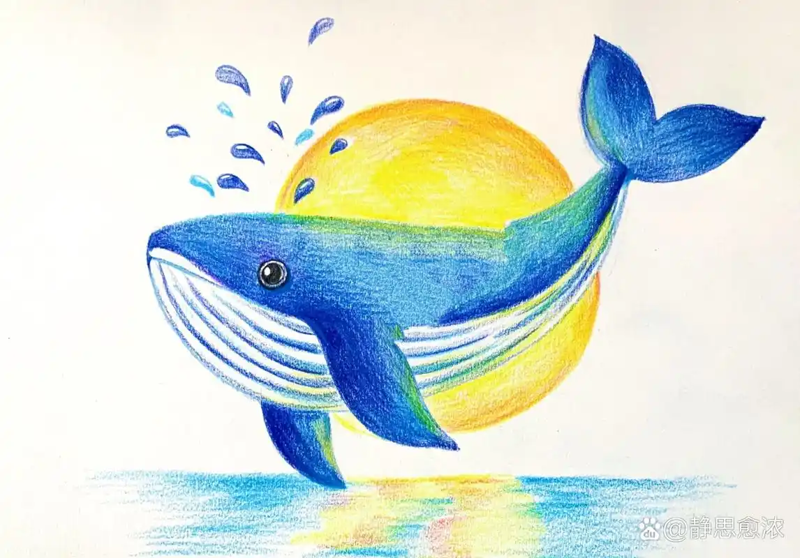 彩铅鲸鱼95,原创小插画一幅,一个小时就潦草结束