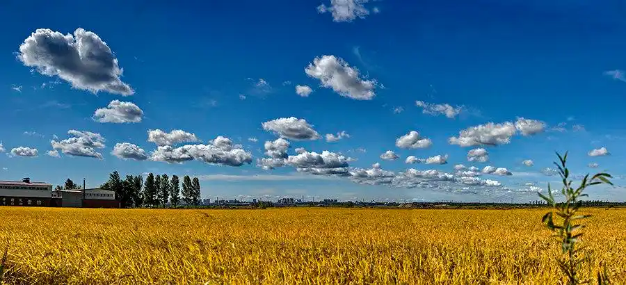 【丰收在望摄影图片】风光摄影_太平洋电脑网摄影部落