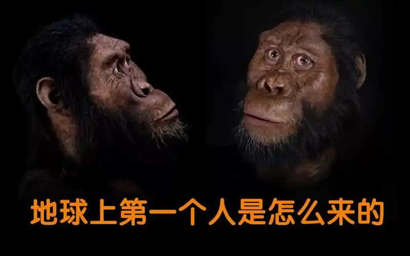 关于人类起源你知道地球上第一个人是怎么来的吗