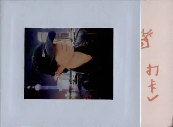 马嘉祺灿烂的花园