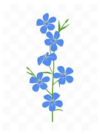 【蓝色花花草草】图片免费下载_蓝色花花草草素材_蓝色花花草草模板