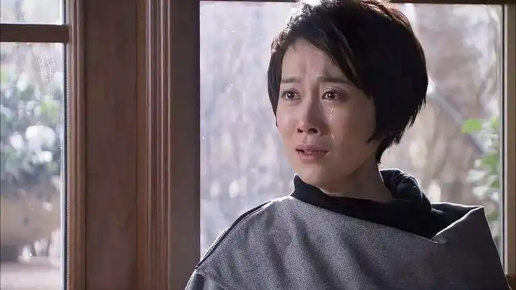 千山暮雪大结局:为得到莫绍谦,慕咏飞手段狠毒,慕振飞看不下去