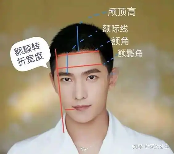 你的发际线审美大全!【建议收藏】 - 知乎