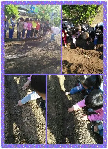 开始播种了,小朋友们在老师的指导下,开心地播种下了自己的种子