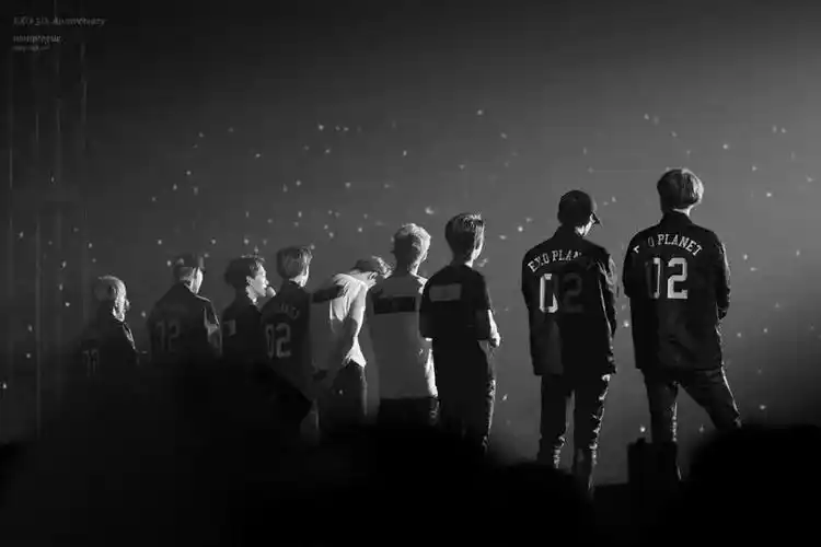 exo 演唱会背影