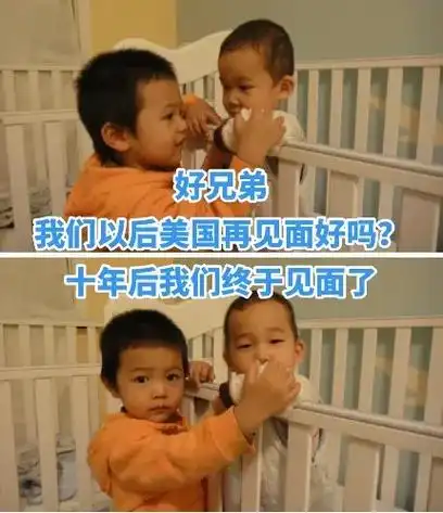 分别被收养的孩子十年后再相聚.