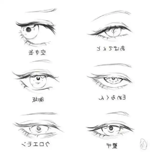 绘画素材|手绘眼睛各种练习素材参考