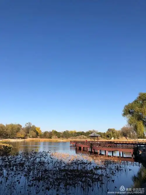 圆明园遗址秋语