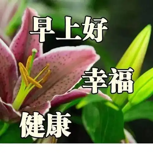 2022年清早大家早上好新版问候漂亮图片带字清晨早晨好问候动图说说