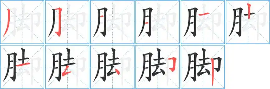 脚字笔顺
