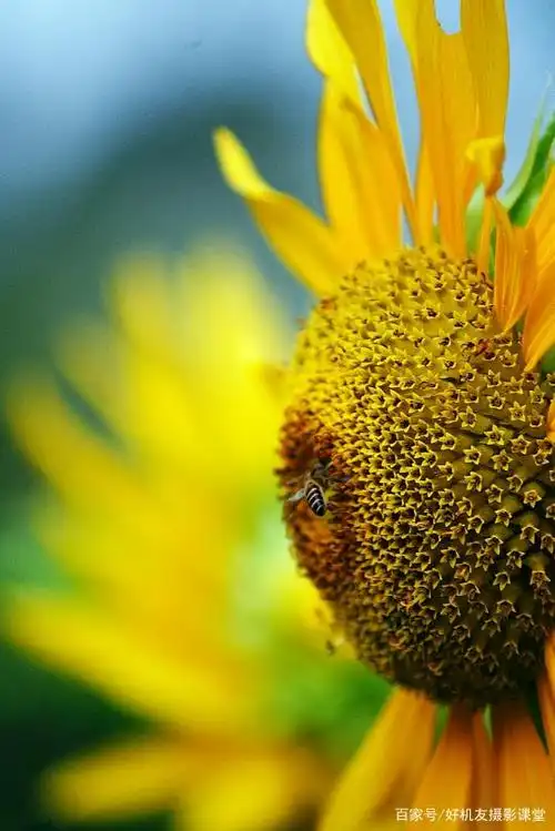 风光摄影构图基础控制景深的解决方案之利用镜头焦距控制景深