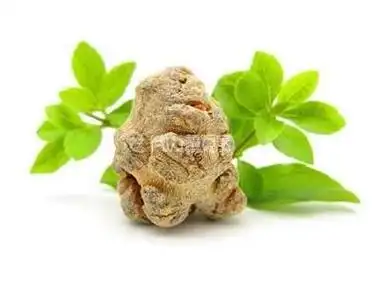 三七,这味被誉为"中药之明珠"的草本植物,自古以来就以其独特的药效在