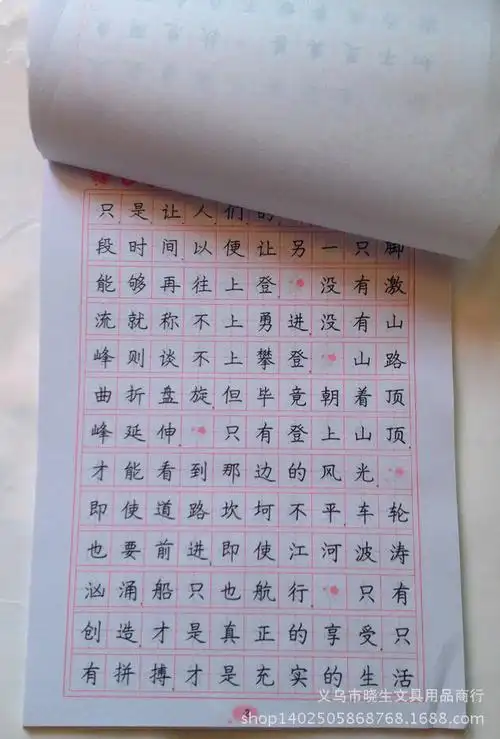 中国著名硬笔书法家推荐 中小学生 书法爱好者 钢笔楷书罗扬字帖