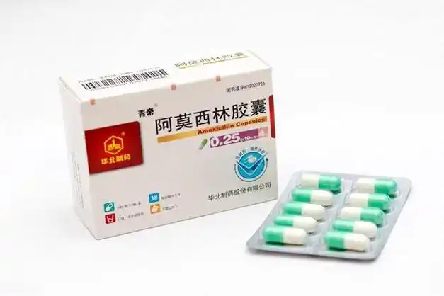 阿莫西林只"管"5种病,服用需注意3点|过敏|青霉素|消炎药|药品说明书