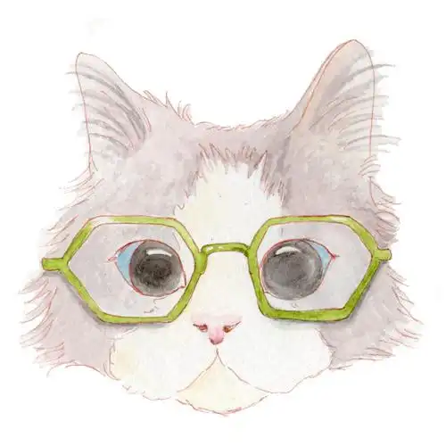 日本插画家noryco 手绘戴眼镜的猫