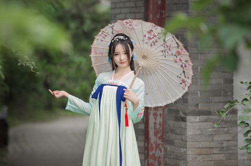 汉服女装出租唐朝襦裙魏晋风宫女侍女古装汉服女古装曲裾演出服装