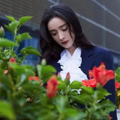 【微信头像】杨幂