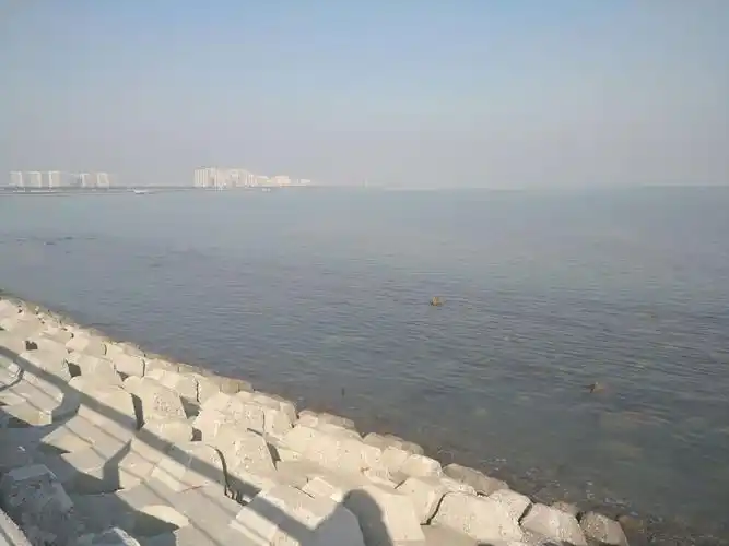 11月1日单骑天津滨海东疆人工沙滩海边看海游玩.