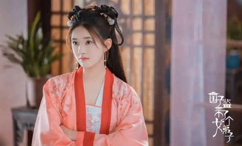 赵露思演的电视剧