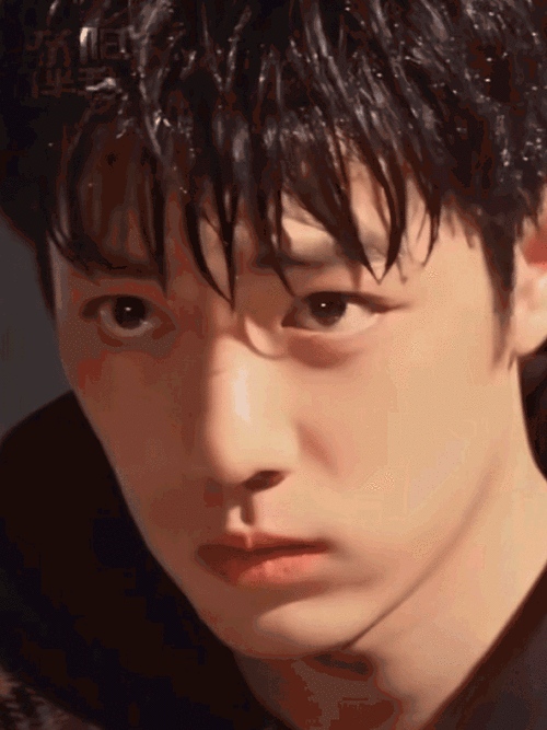 肖战出道七周年了