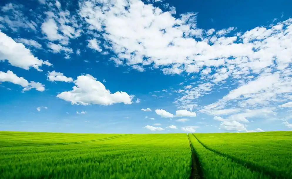 煤改电应是实现清洁采暖的首选