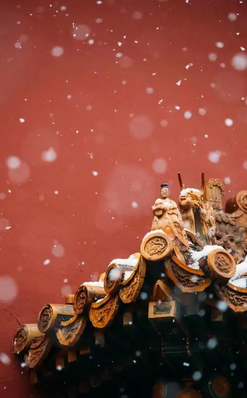 北京故宫迷人的雪景