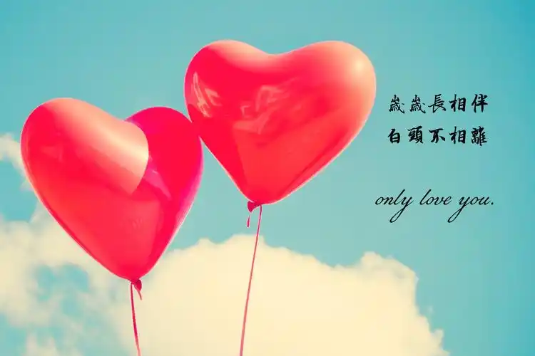 我愿意赌上所有时光只爱你一个人带字图片