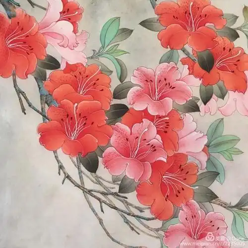 工笔花鸟画 杜鹃花
