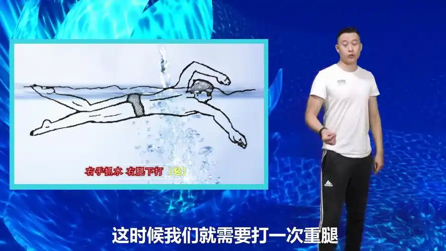 活动  中游体育:为什么有些人自由泳六次腿节奏不是轻轻重