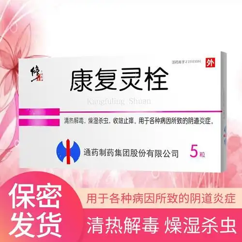 5g*5粒 清热解毒 收敛止痒 燥湿杀虫 各种病因所致的阴道炎症 栓剂