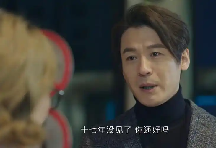 十七年后,林睿成为了跨国集团sw华东区的高管,而初