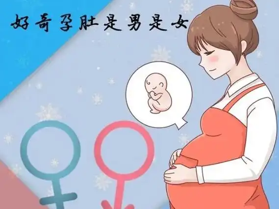 一般孕晚期孕妇平躺肚子高高的,硬硬的,怀的就是男孩;孕妇平躺肚子