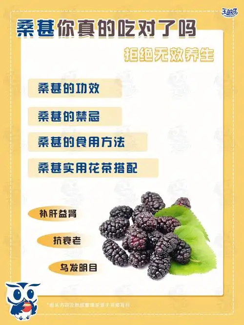 桑葚性味甘寒,具有补肝益肾,生津润肠,乌发明目等功效