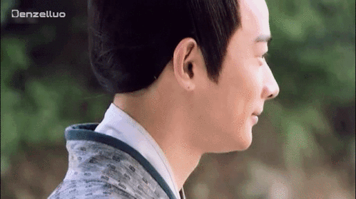 罗晋美人心计古装微笑gif动图_动态图_表情包下载_soogif