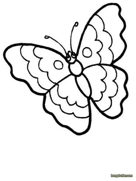 飞翔的蝴蝶黑白简笔画大全