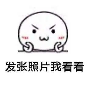 发张照片给我看看 - 你特么查户口啊?_搞笑表情