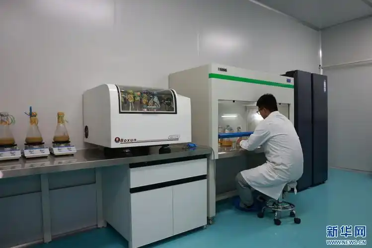 乡村振兴中的新河故事丨珍稀食用菌菌棒培育出乡村振兴帮扶之"花"