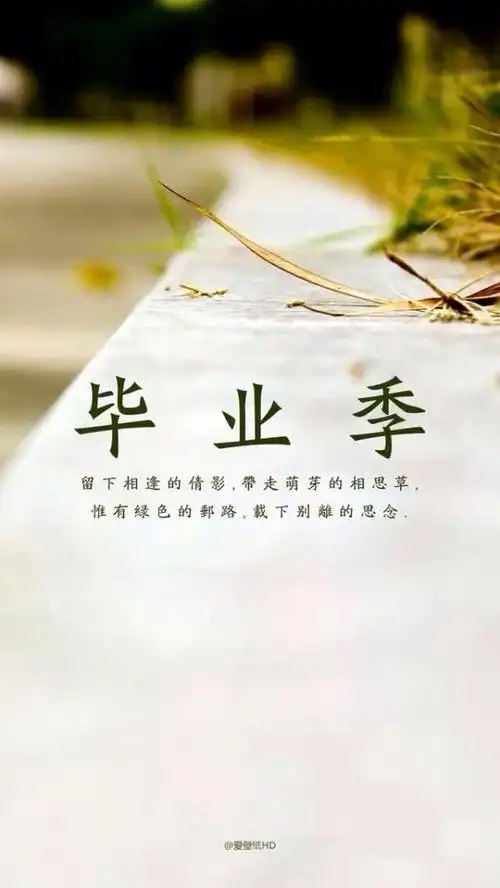 曾经的美好回忆