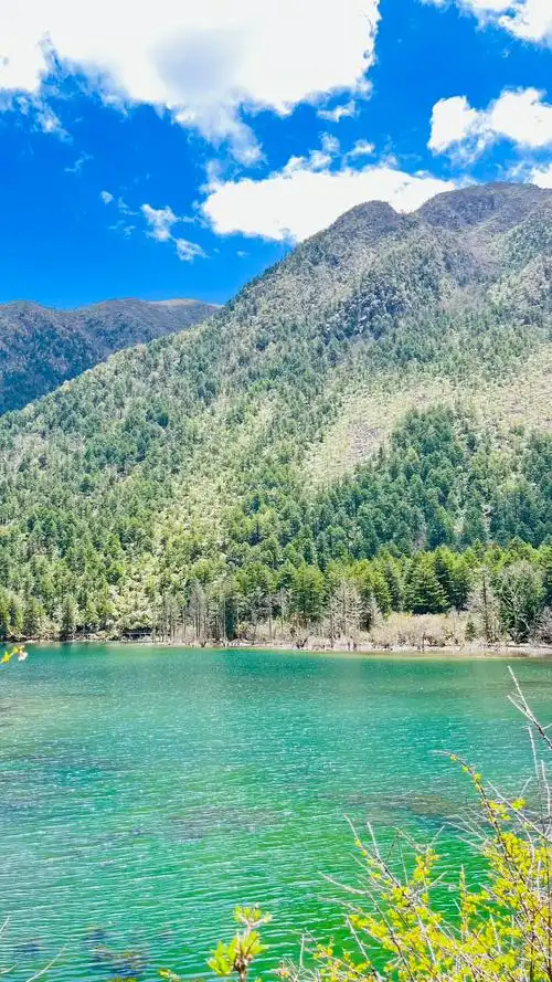 眼睛看过的风景绝不会忘#感受大自然的气息和美景 #远离城市的 - 抖音