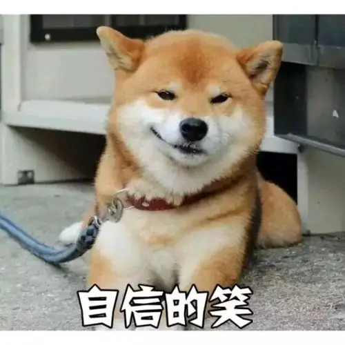 【表情包】霸道柴总的沙雕日常