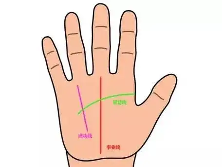 手相压婚线.你左右手都有压婚线,压婚线的出现不利婚姻,有压婚 - 抖音